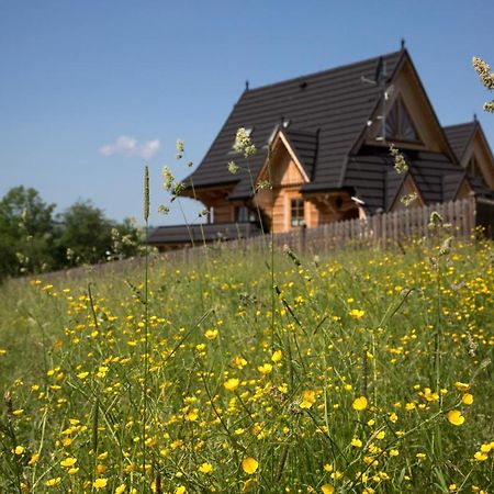 Goralska Zagroda Dzianisz Exteriér fotografie